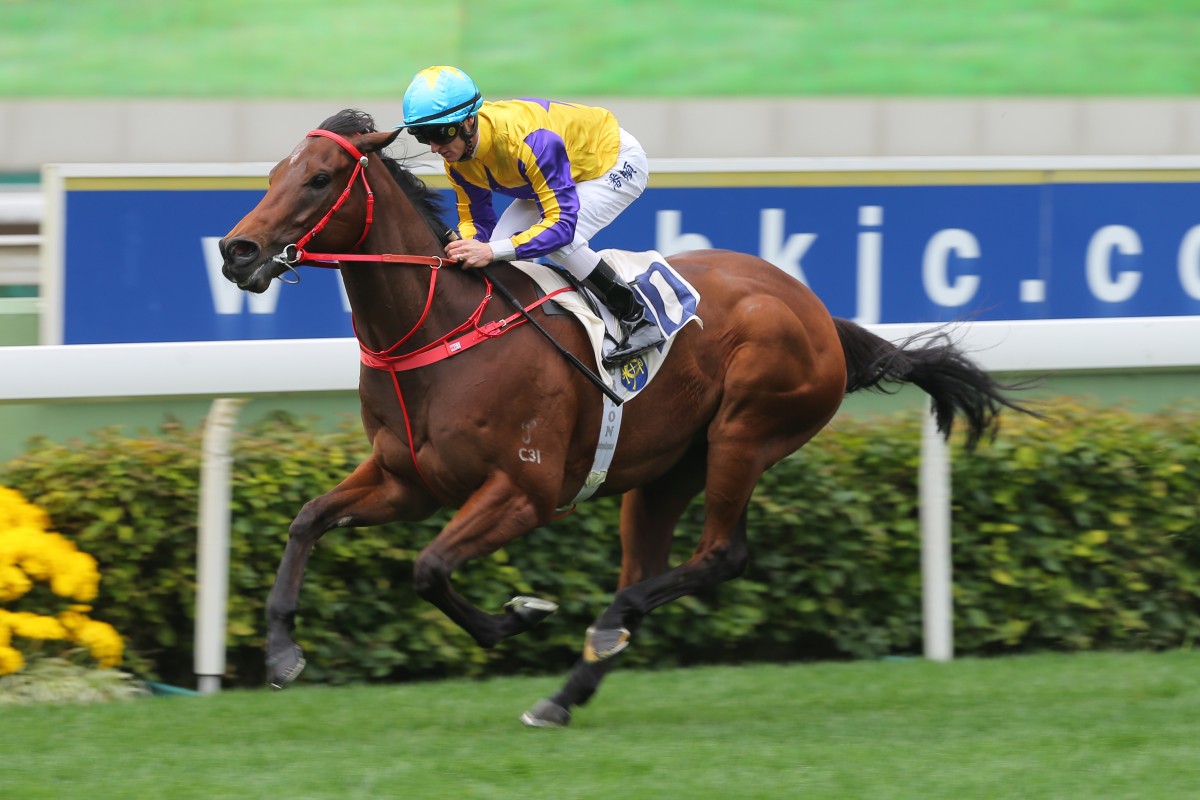 Zac Purton wins on Prince Of Gems on debut at Sha Tin last month. Photos: Kenneth Chan