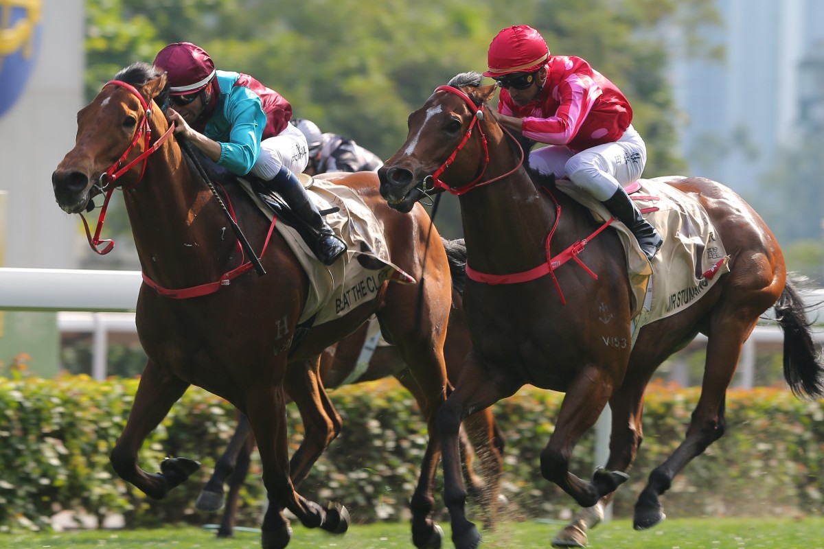 Beat The Clock (left) and Mr Stunning (right) go head-to-head up the straight in the Group One Centenary Sprint Cup in January. Photos: Kenneth Chan