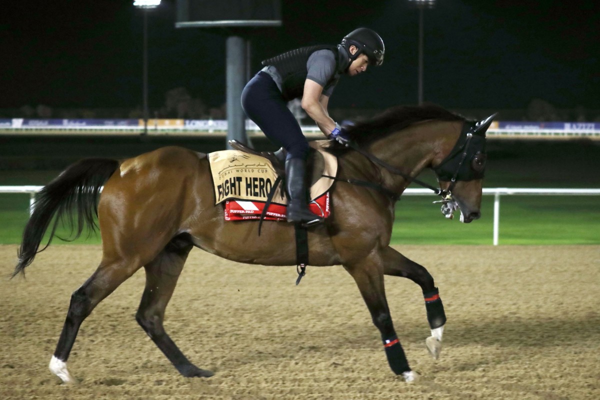 Fight Hero gallops at Meydan on Thursday morning. Photos: Kenneth Chan