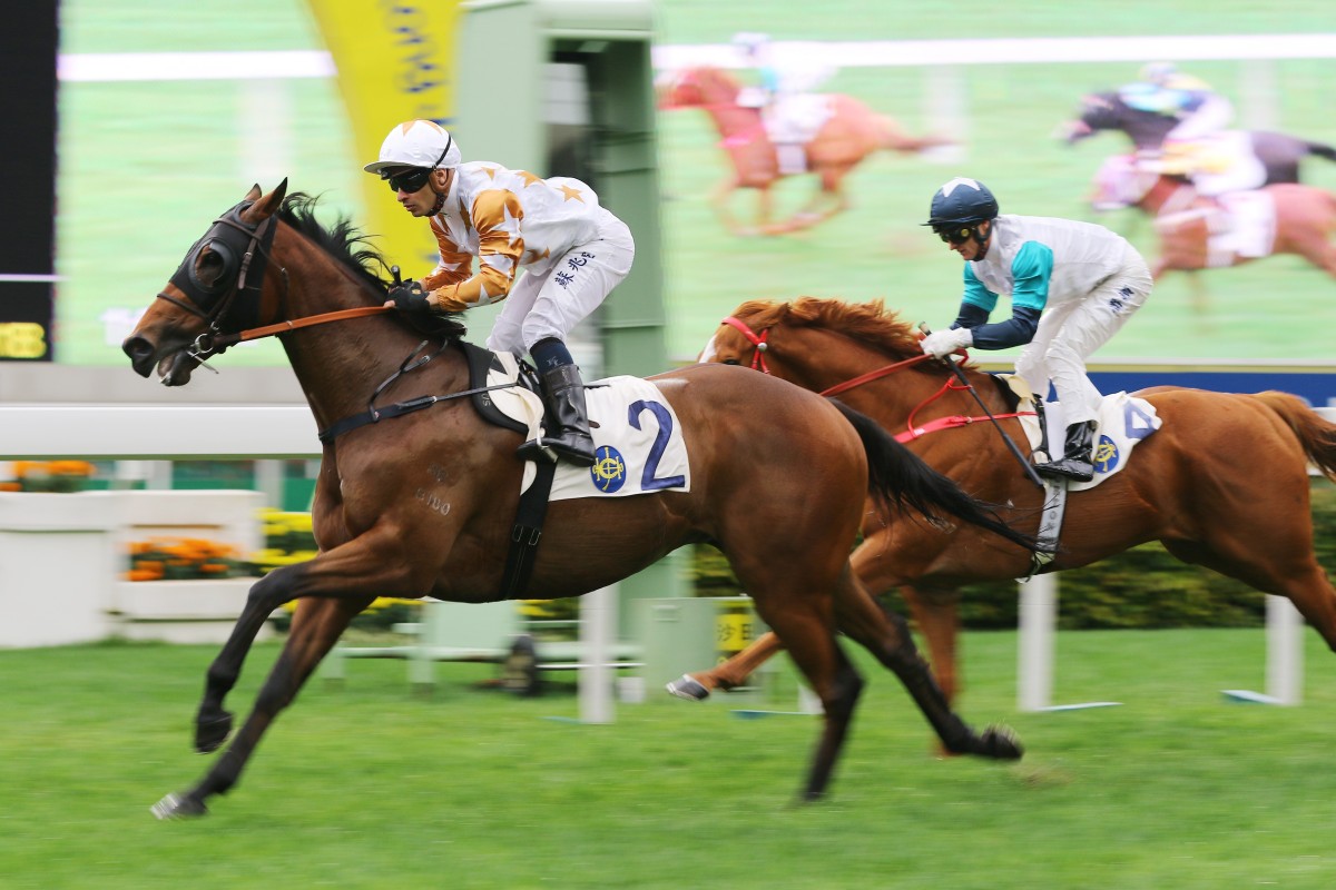 Wishful Thinker wins at Sha Tin earlier this month. Photos: Kenneth Chan