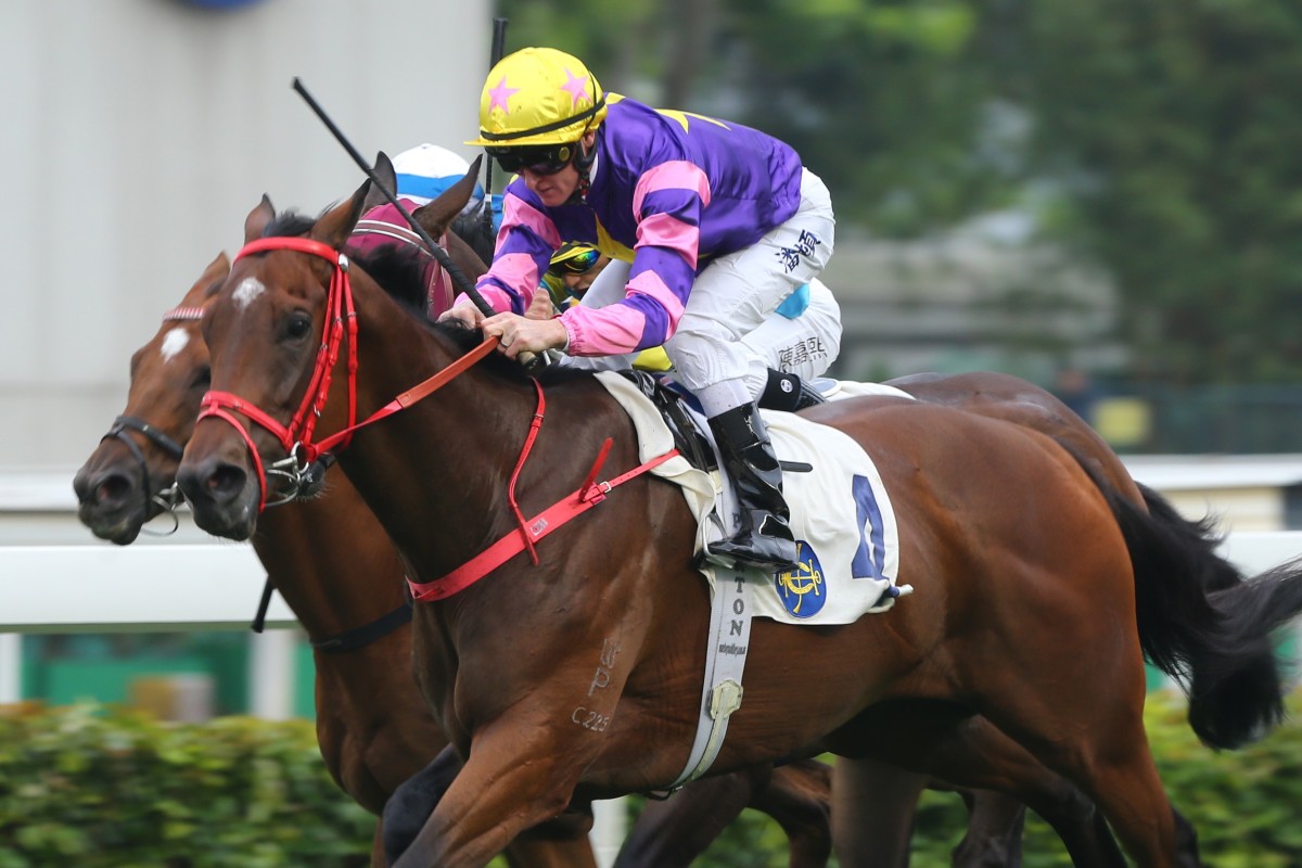 Zac Purton races clear on Everyone’s Joy to go past Tony Cruz’s record of 946 career winners. Photos: Kenneth Chan