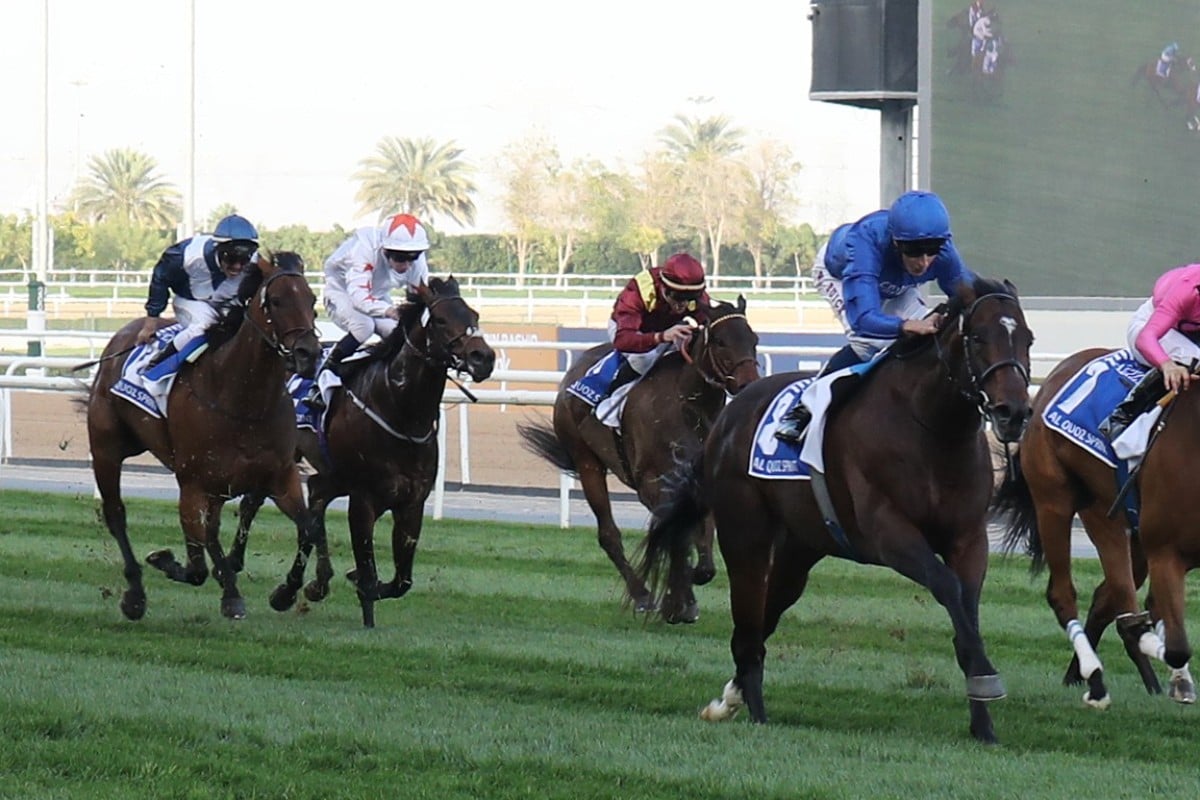 Viddora (left) runs fourth behind Blue Point in the Al Quoz Sprint. Photo: Kenneth Chan