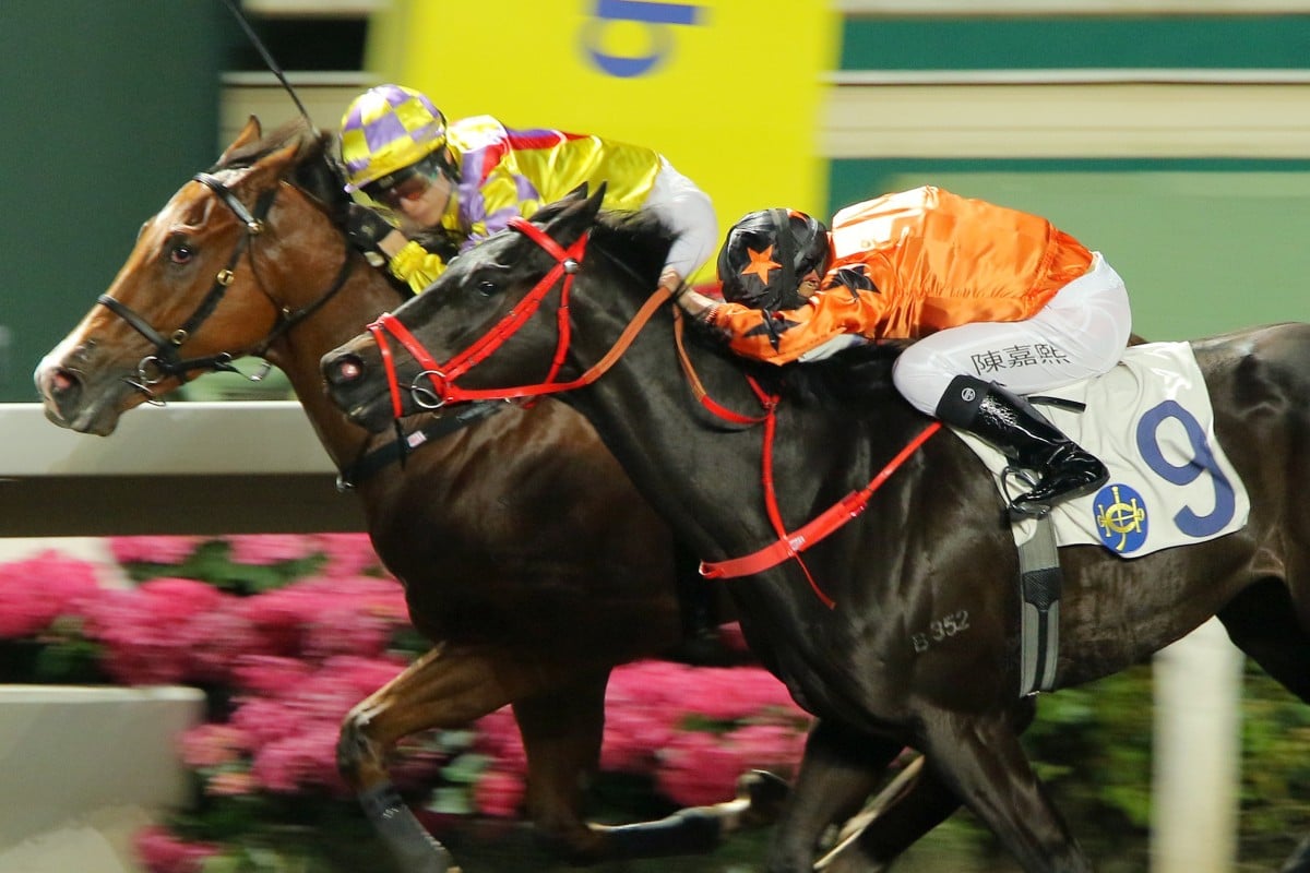 Winner Supreme (left) holds off Simply Big at Sha Tin on Wednesday night. Photos: Kenneth Chan