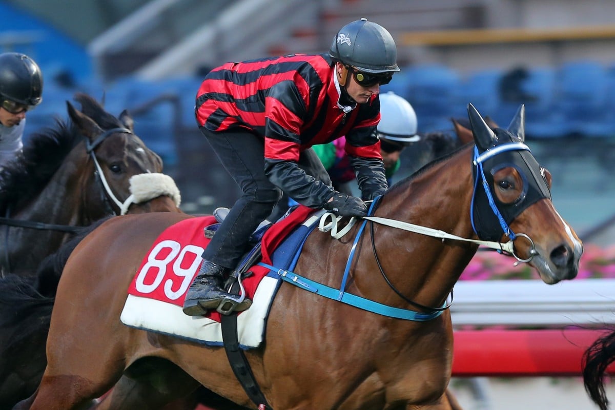 Seven Heavens trials under jockey Zac Purton at Sha Tin. Photos: Kenneth Chan