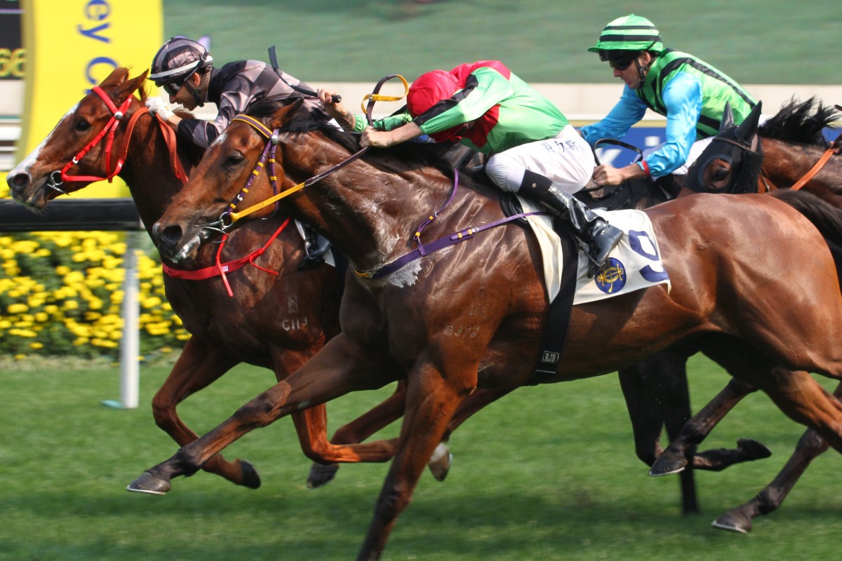 War Lord wins at Sha Tin with Diamond Brilliant (Regan Bayliss) in second ahead of the unlucky Silver Fig (Martin Harley). Photo: Kenneth Chan
