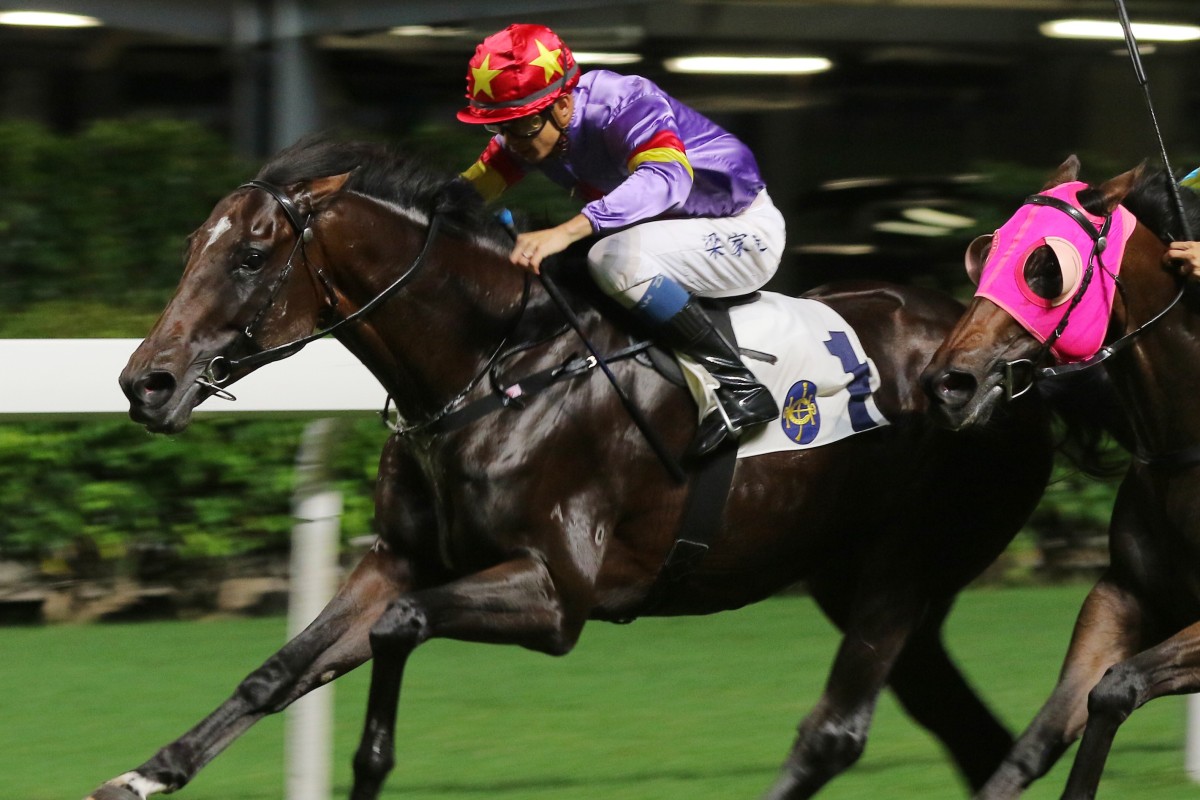 Derek Leung punches out Salto Olimpico at Happy Valley for his only Hong Kong win last year. Photos: Kenneth Chan