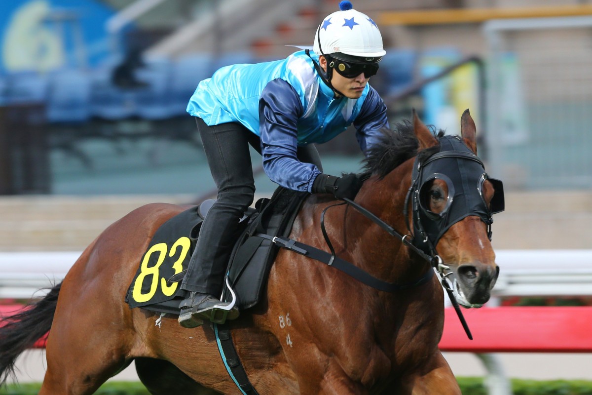 Keith Yeung wins a barrier trial with Best Sense at Sha Tin in November. Photos: Kenneth Chan