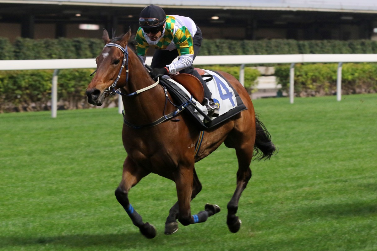 Utopia Life is looking to make amends on Monday. Photos: Kenneth Chan