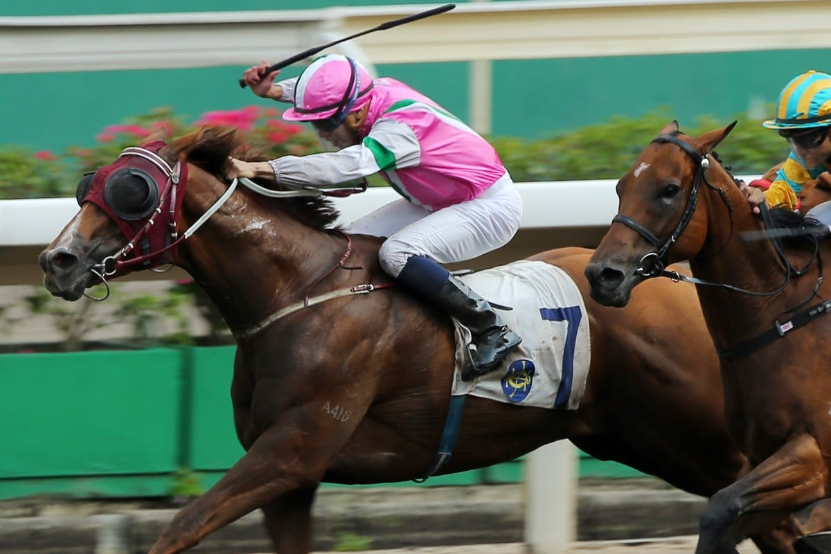 Fortune Booth (inside) gets home to win on the all-weather track at Sha Tin on Monday under jockey Vincent Ho. Photos: Kenneth Chan