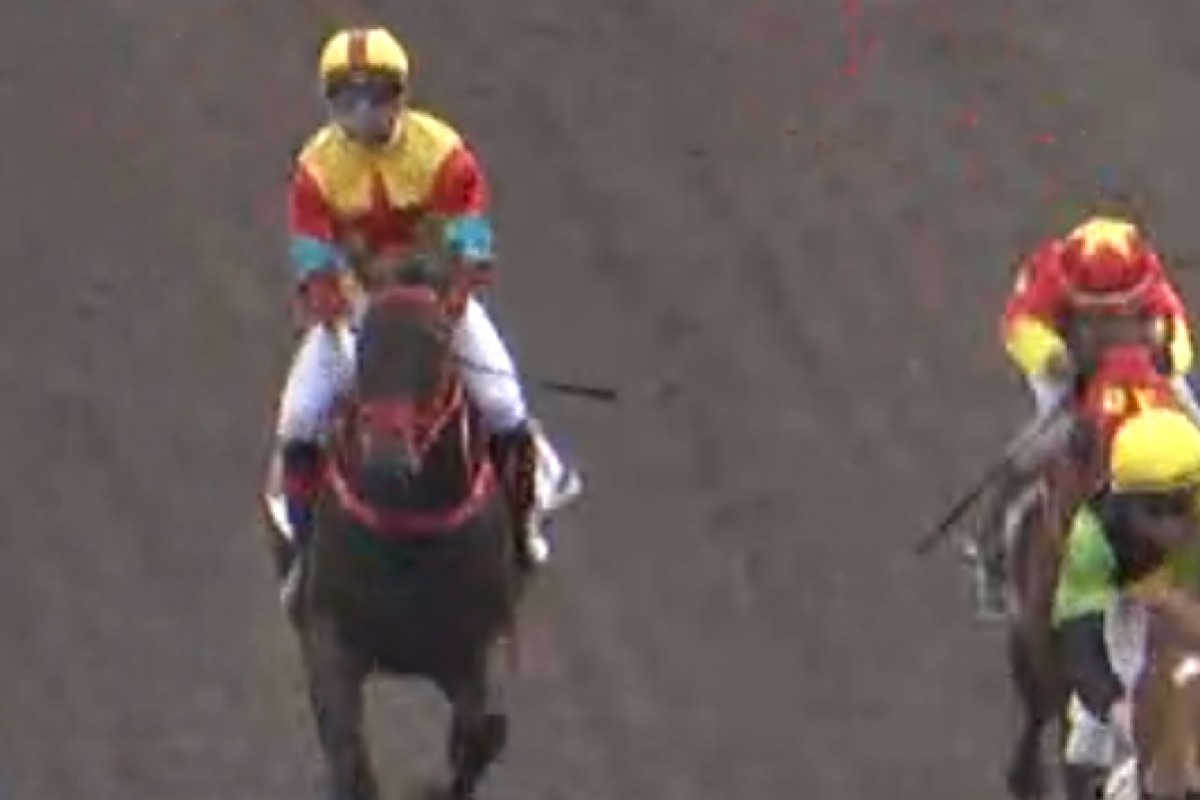 Umberto Rispoli struggles aboard Big Time Baby. Photo: HKJC