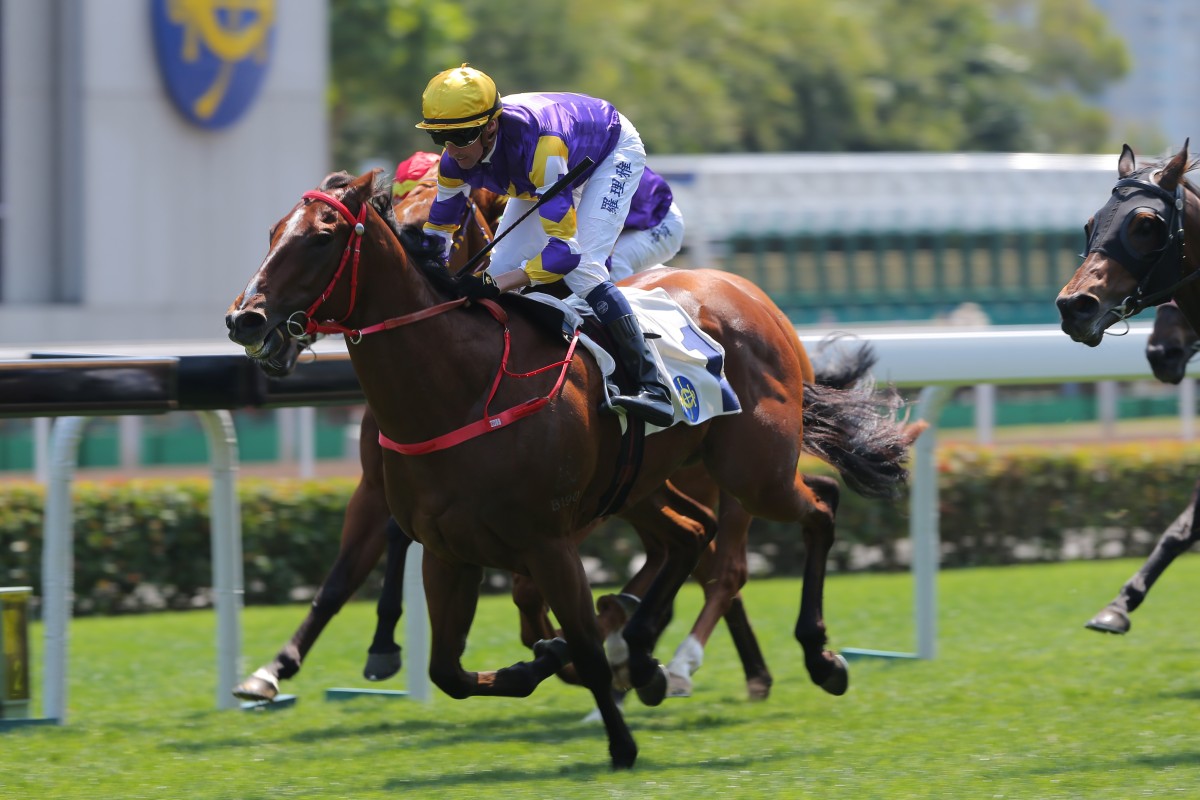 Golden Dash wins in March last year. Photos: Kenneth Chan