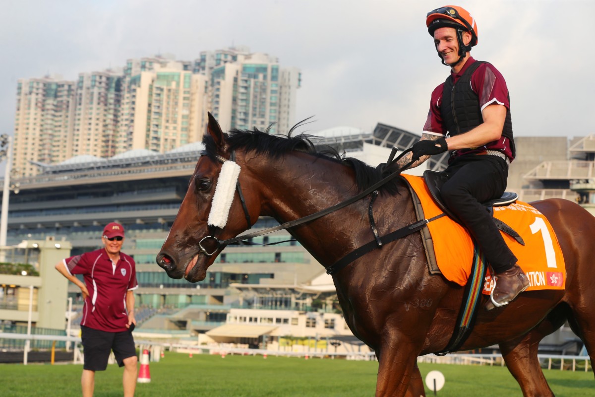 John Moore looks over his superstar Beauty Generation at trackwork on Thursday morning. Photos: Kenneth Chan