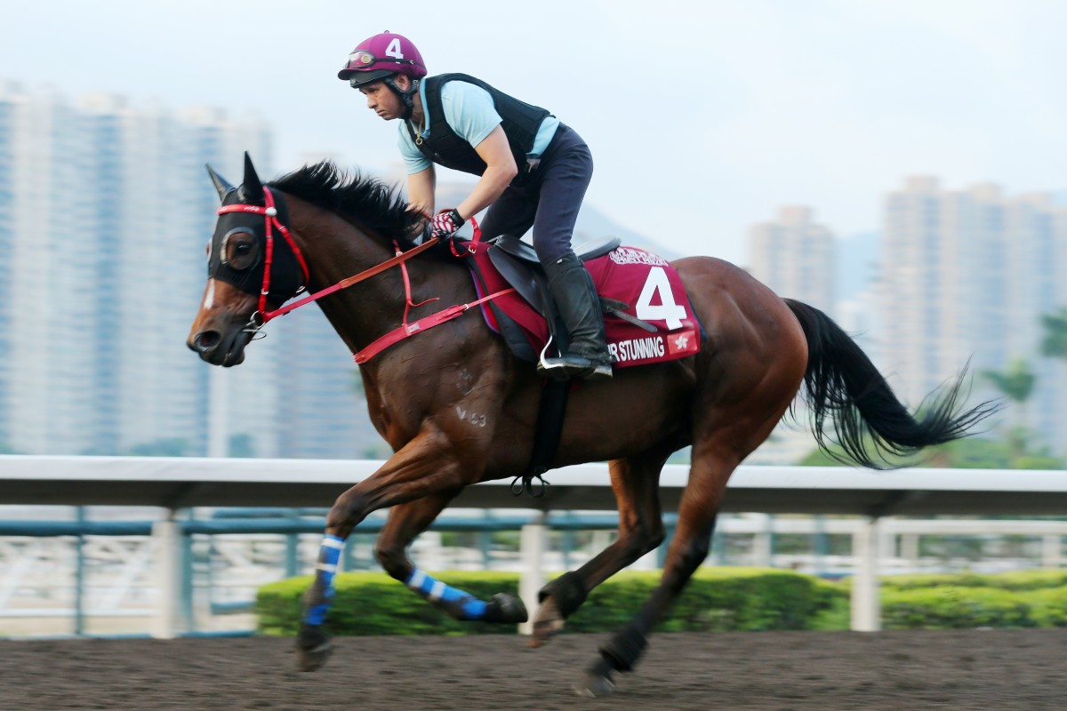 Mr Stunning gallops on the all-weather track on Thursday. Photos: Kenneth Chan