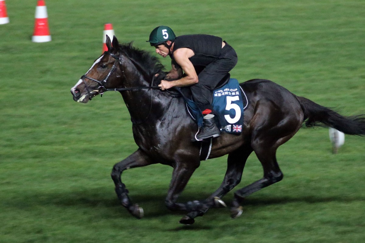 Eminent works at Sha Tin this week. Photo: Kenneth Chan