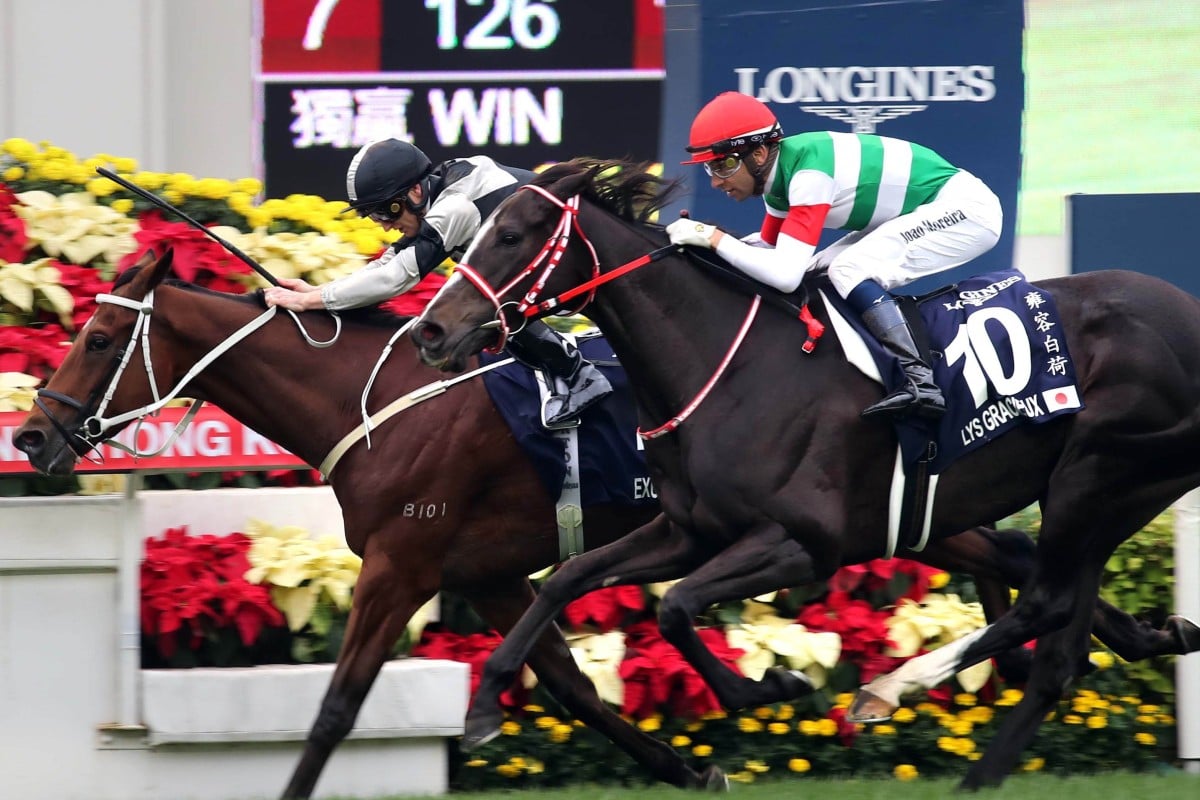Exultant (inside) and Lys Gracieux battle it out in December’s Group One Hong Kong Vase (2,400m). Photos: Kenneth Chan