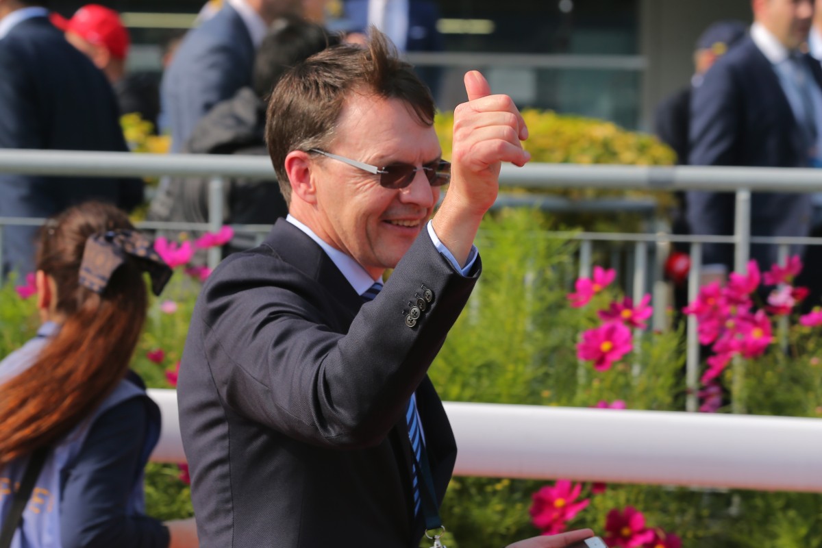 Image result for aidan o'brien