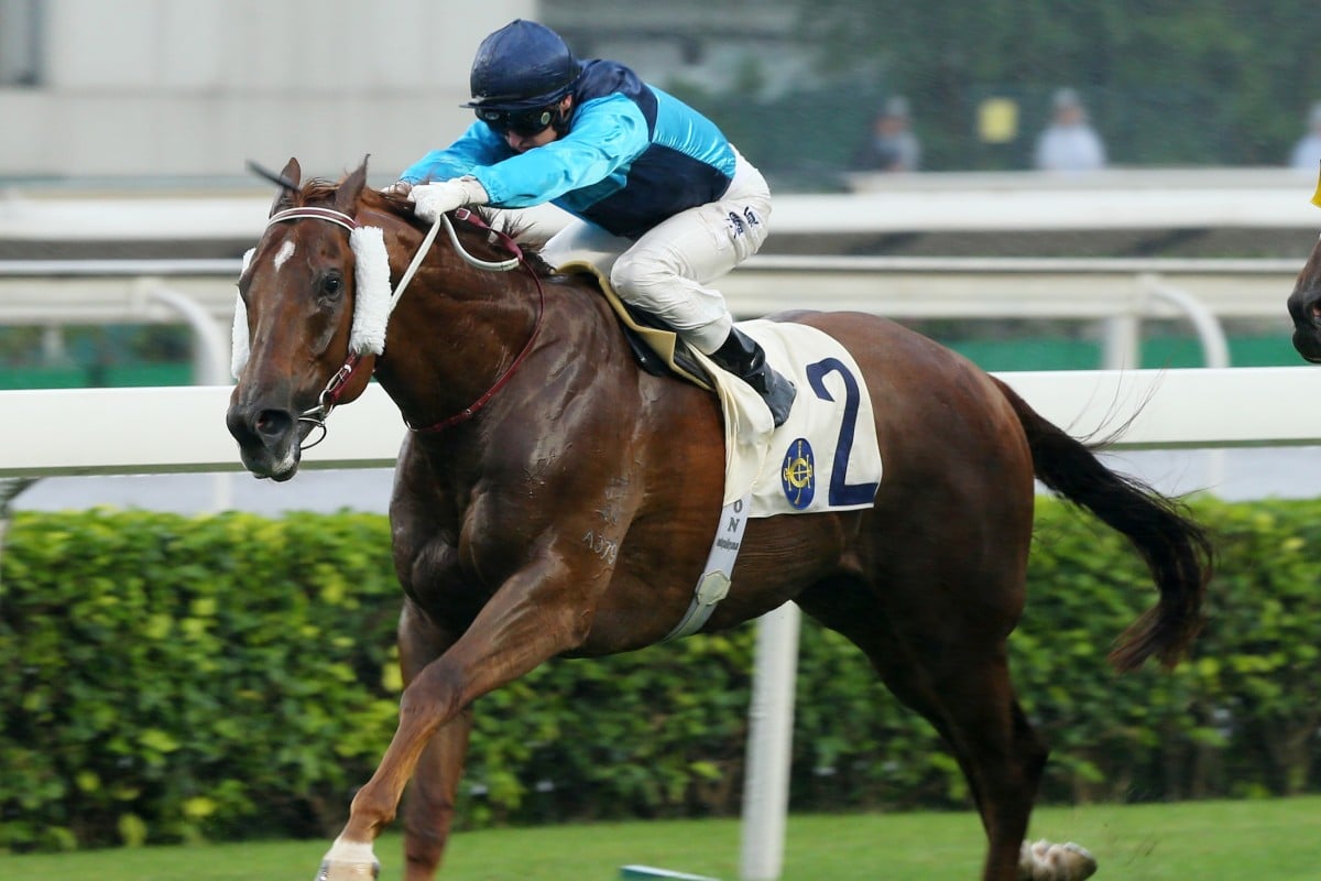 Sunny Boy holds off all challengers to win at Sha Tin on Sunday. Photos: Kenneth Chan
