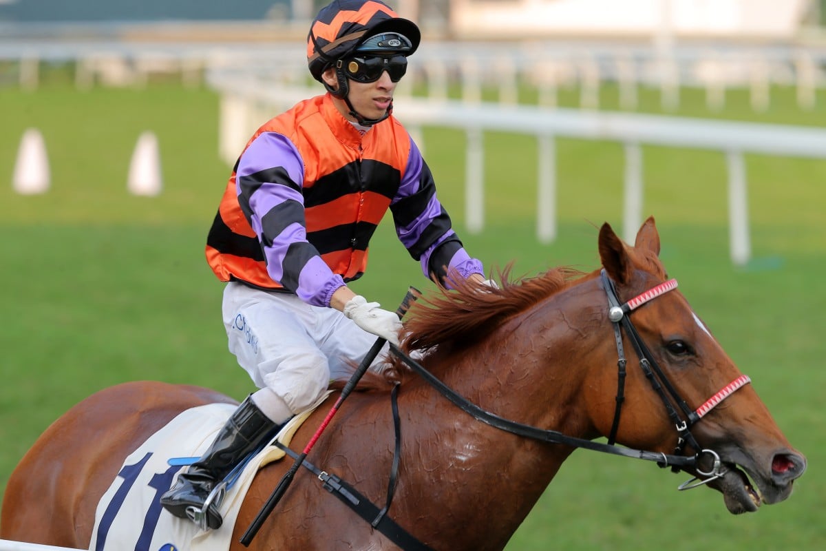 Matthew Chadwick returns to scale after winning on Speedy King. Photos: Kenneth Chan