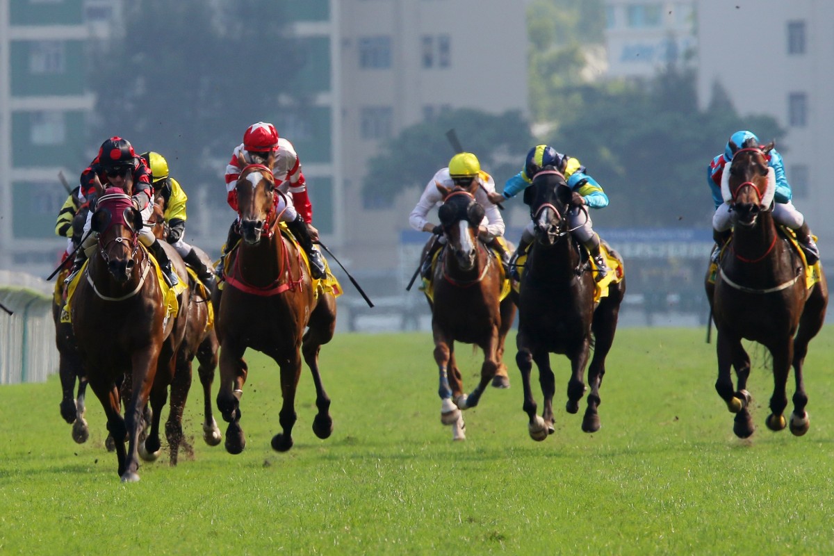 Macau horse Pearl Green (right) battles home for fourth behind winner Good Standing at Sha Tin on Saturday. Photos: Kenneth Chan