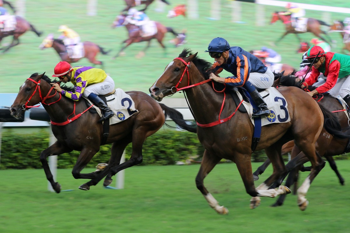 Chad Schofield and Red Warrior (right) race over the top of Joao Moreira and Champion’s Way (left) to win at Sha Tin on Saturday. Photos: Kenneth Chan