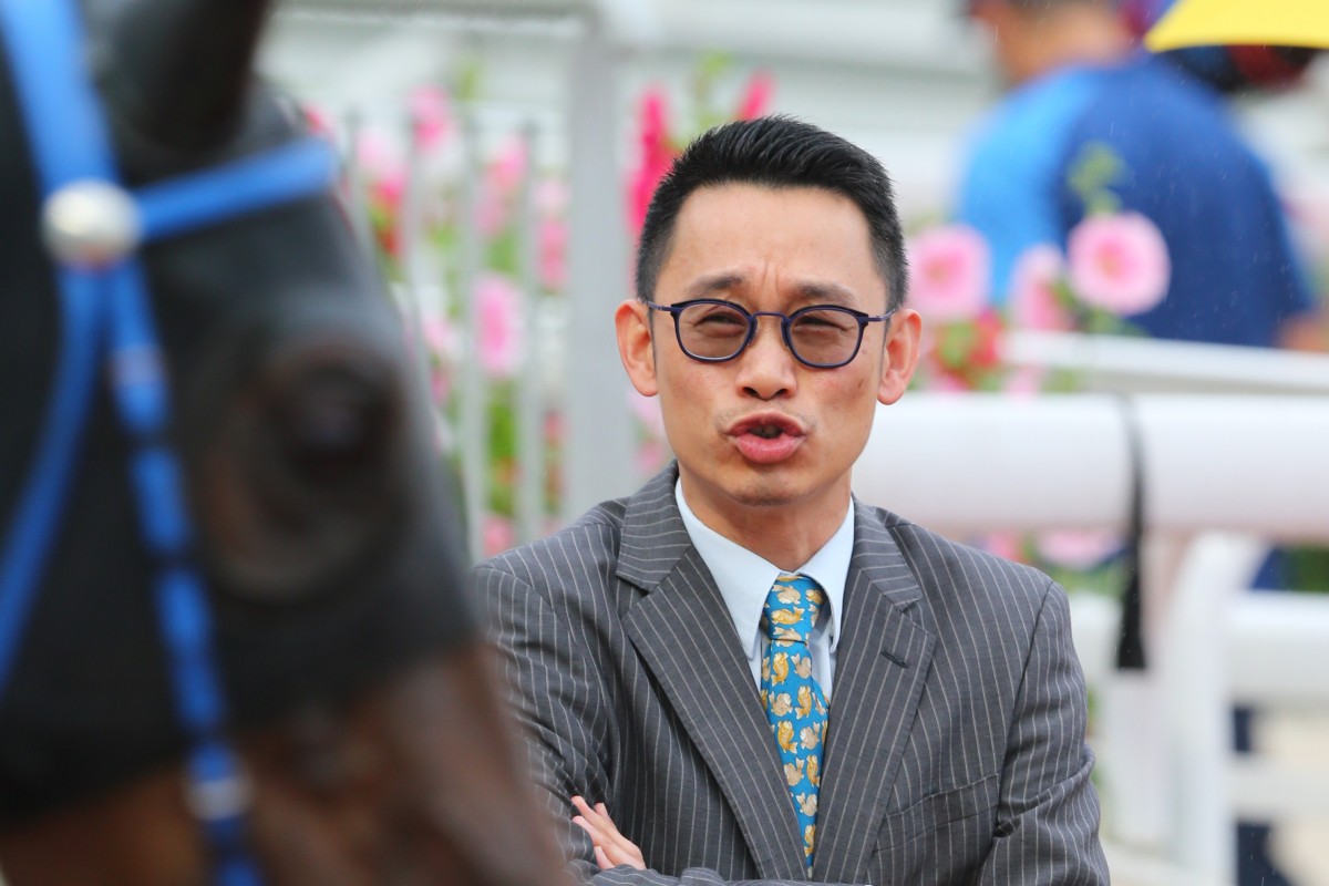 Jimmy Ting looks over one of his horses at Sha Tin. Photos: Kenneth Chan