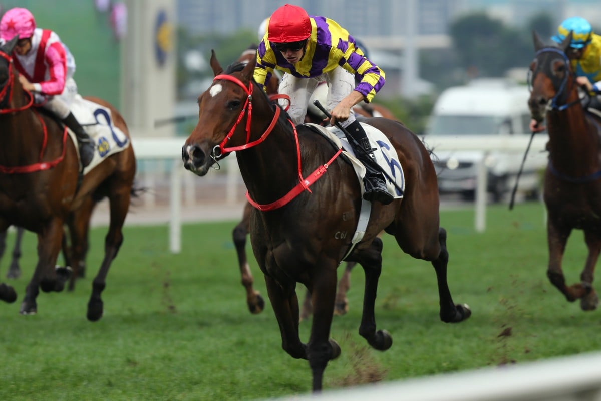 Who are the most exciting young horses in Hong Kong? | HK Racing ...