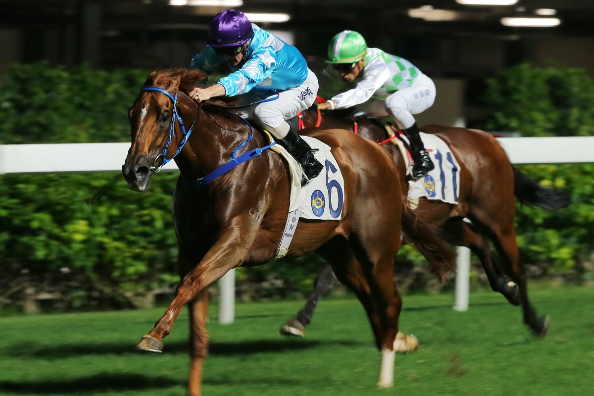 Yee Cheong Baby makes it two from two at Happy Valley on Wednesday night. Photos: Kenneth Chan