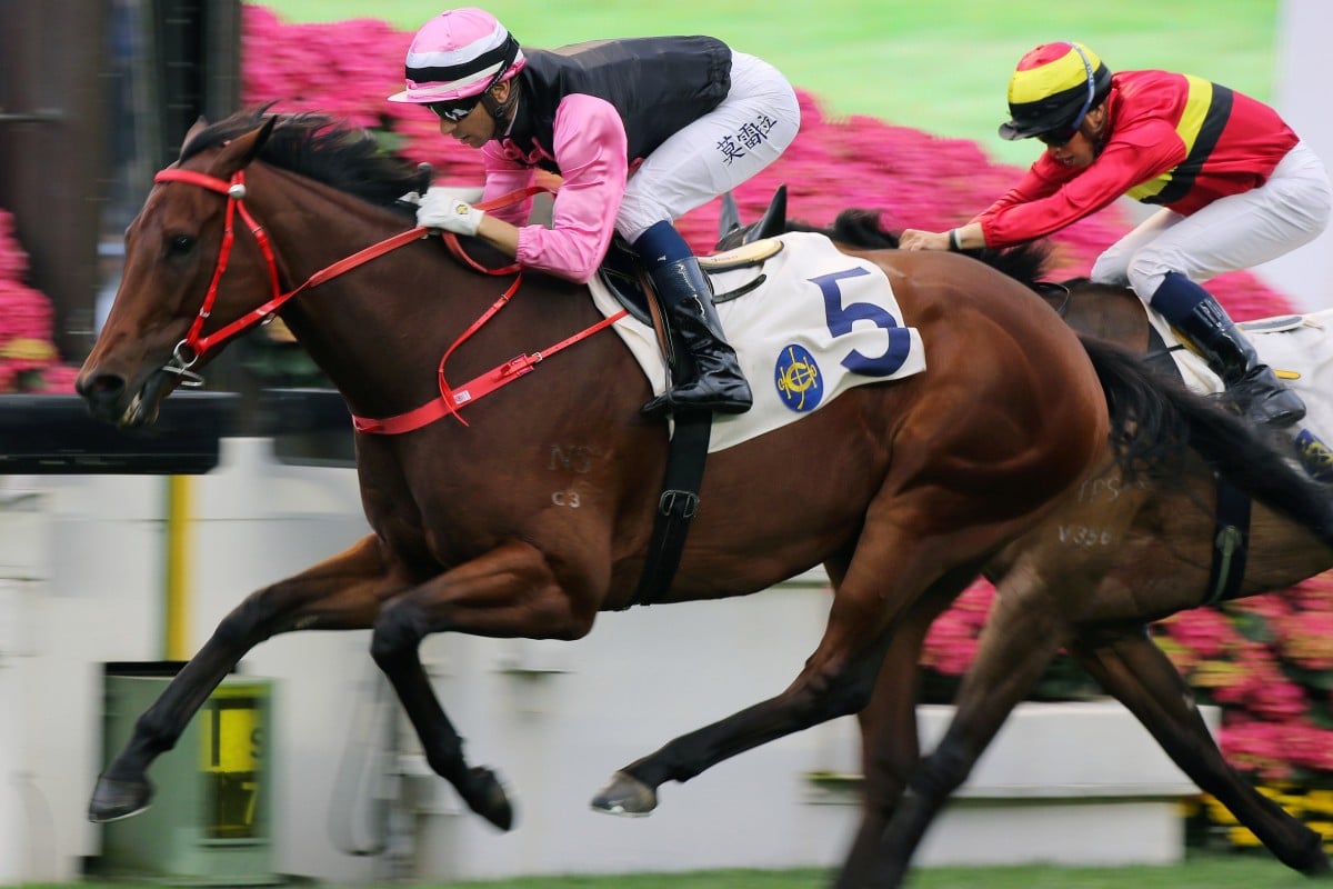 Full Of Beauty races away to win in Class Two grade earlier this season. Photos: Kenneth Chan