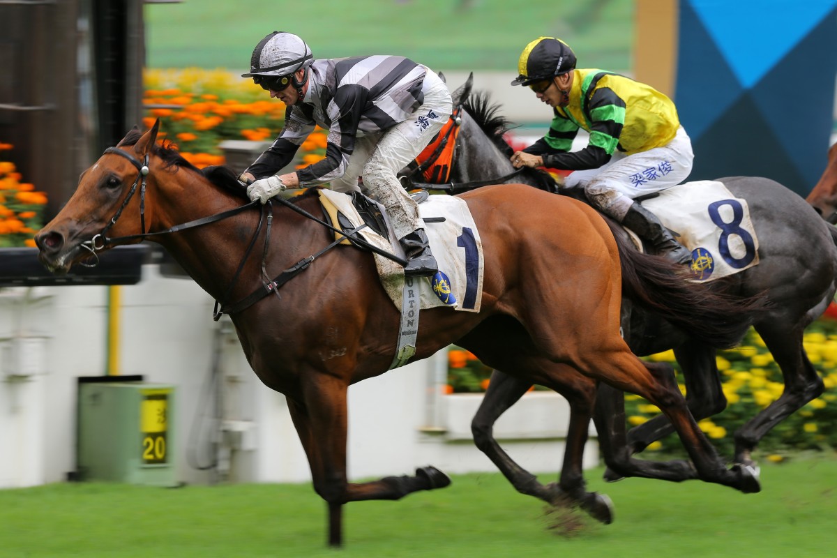 Little Giant lands his first Group success at Sha Tin on Sunday. Photos: Kenneth Chan