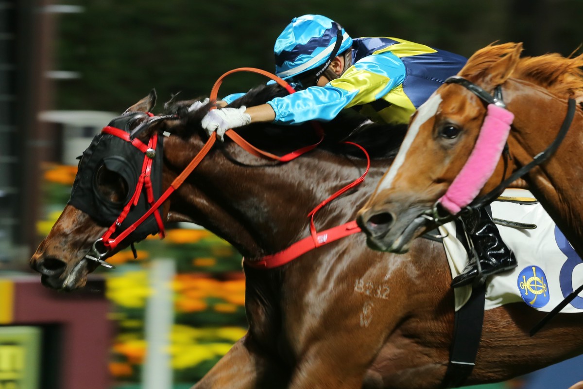 True Grit (inside) is pushed out by jockey Joao Moreira to win at Happy Valley last start. Photos: Kenneth Chan