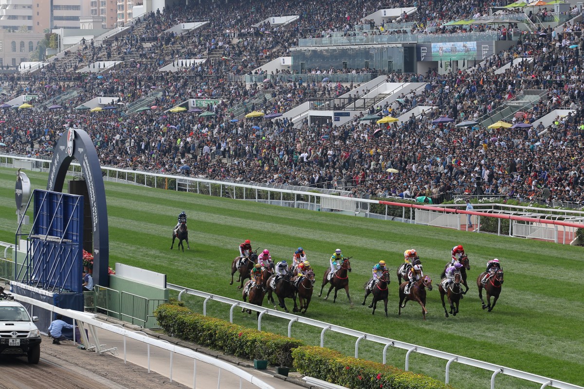 Racing at Sha Tin. Photos: Kenneth Chan