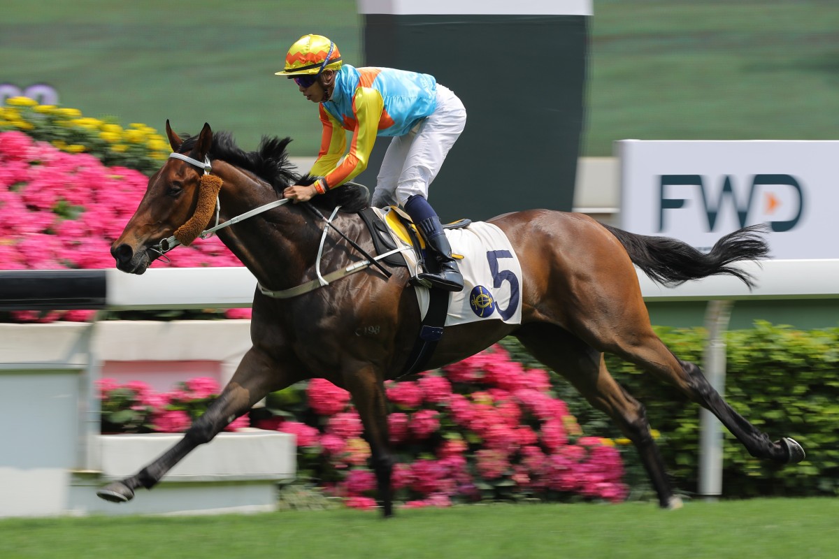 Ka Ying Star salutes at Sha Tin last month. Photos: Kenneth Chan