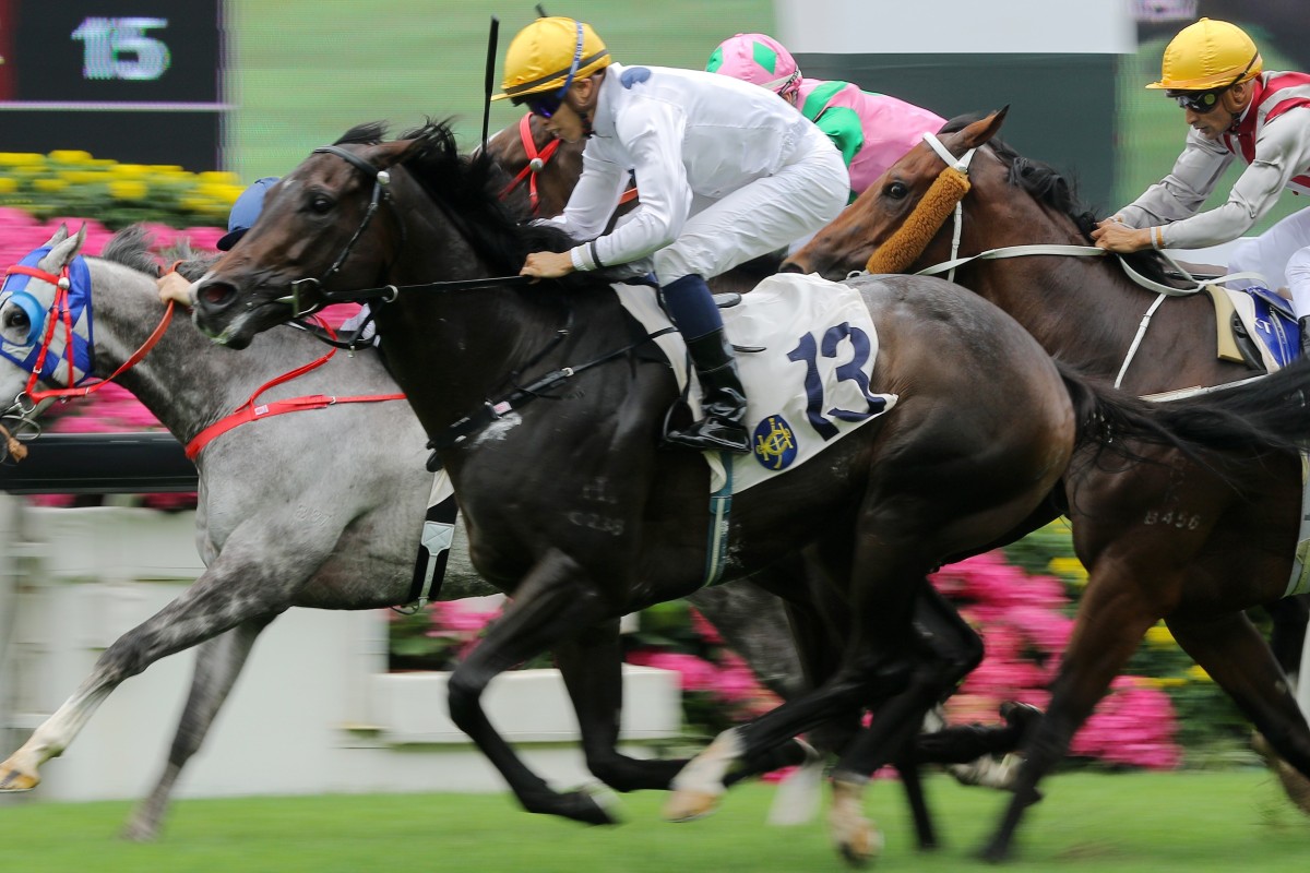 Golden Sixty wins at Sha Tin in April. Photos: Kenneth Chan