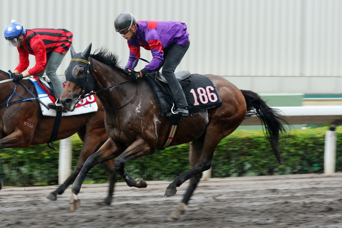 Fight Hero trials at Sha Tin last month. Photos: Kenneth Chan