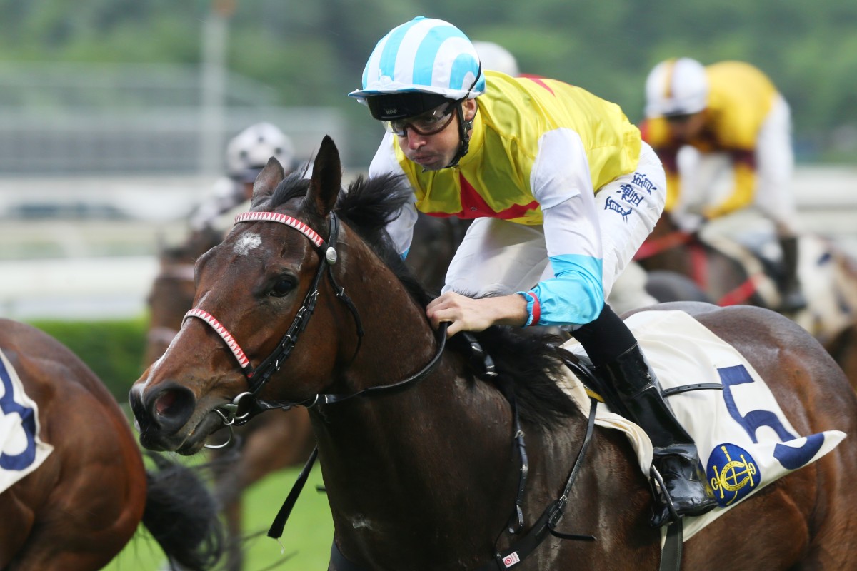 Martin Harley is chasing more winners before the end of his contract. Photos: Kenneth Chan