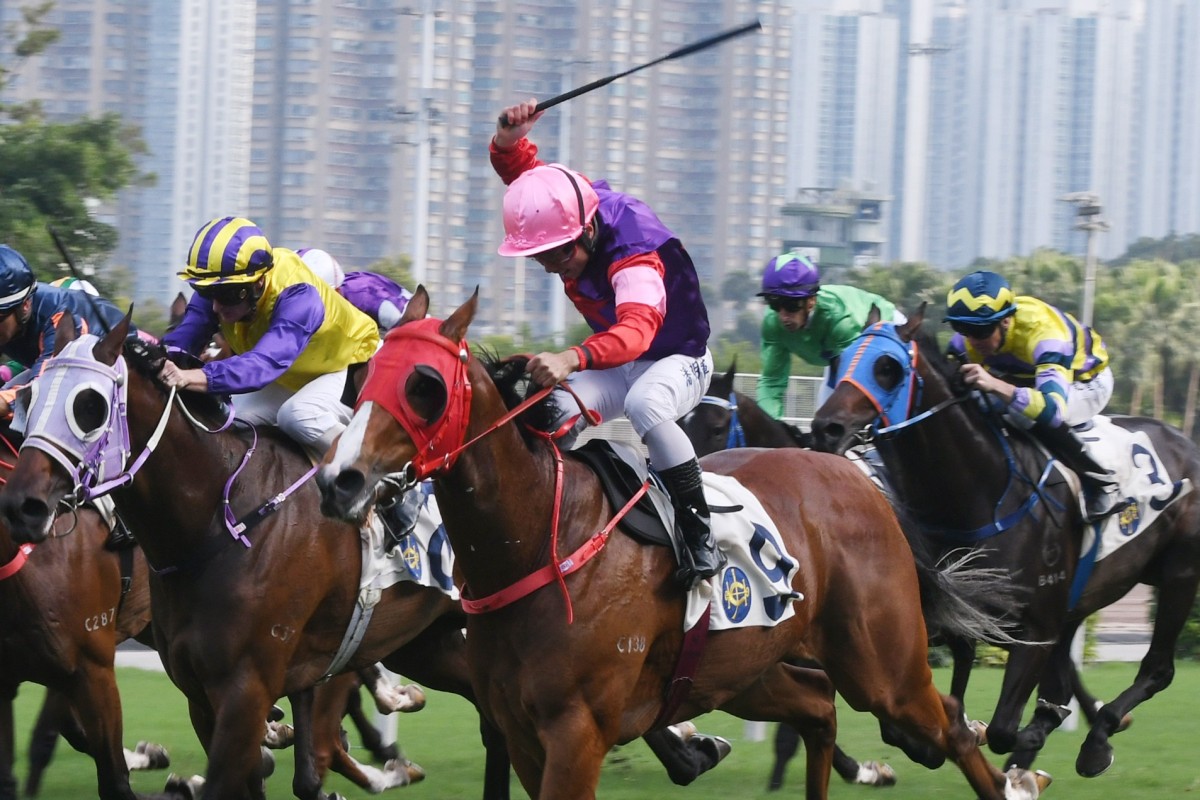Matthew Poon lifts Real Bizzy to victory at Sha Tin on Sunday. Photos: Kenneth Chan