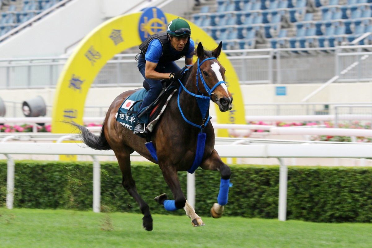 Deirdre gallops at Sha Tin in April. Photos: Kenneth Chan