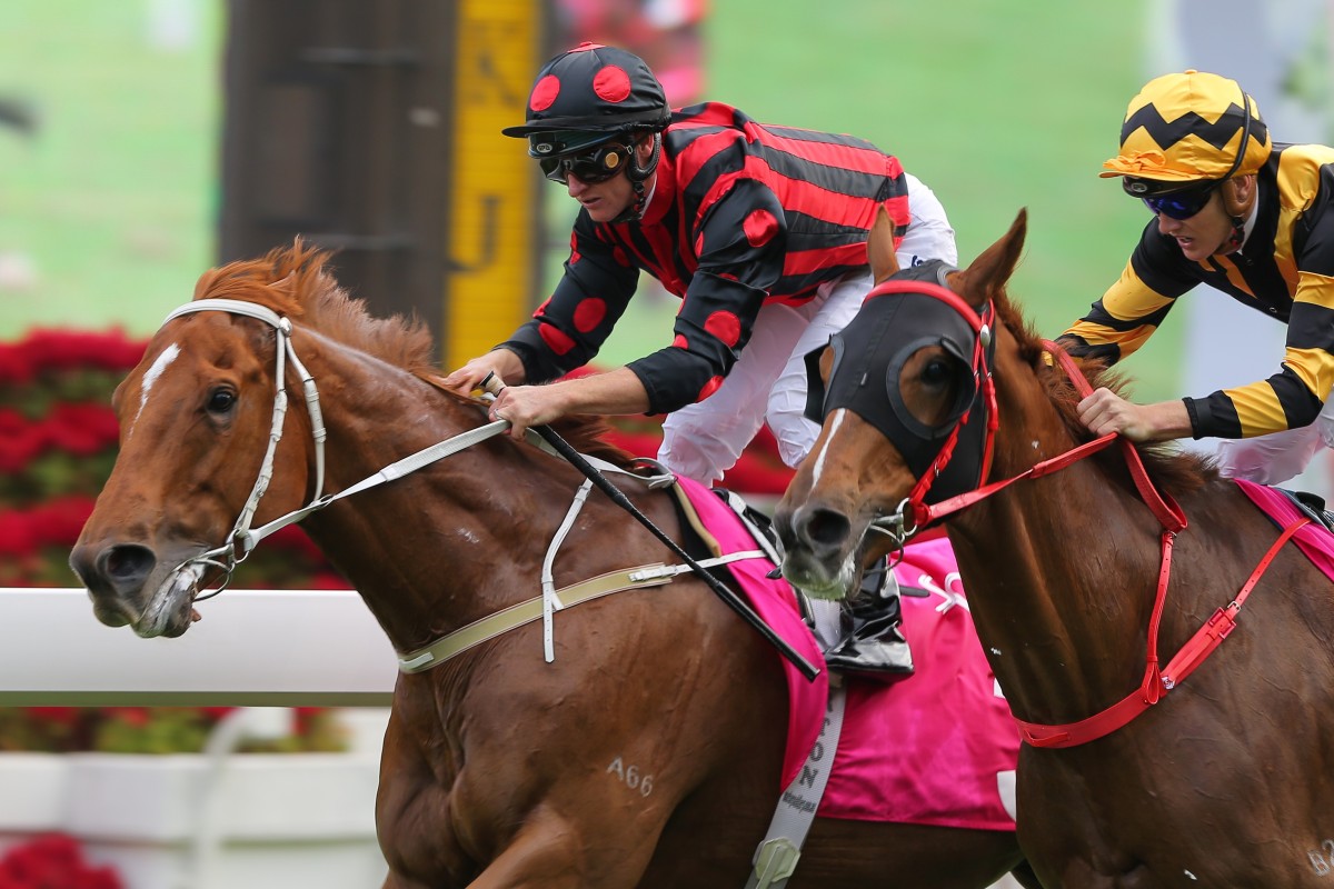 Time Warp beats Glorious Forever to win at Group Three level earlier this season. Photos: Kenneth Chan