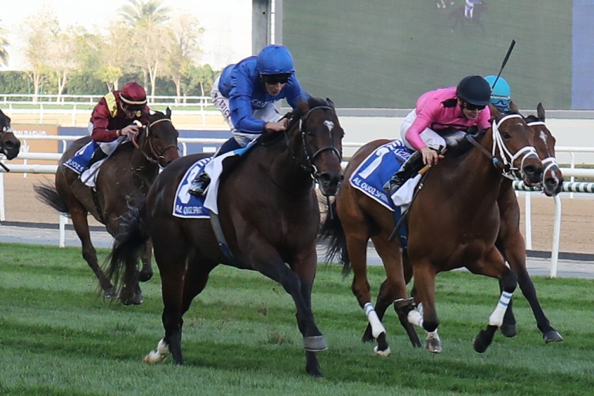 Blue Point (blue silks) fends off his rivals in Dubai’s Group One Al Quoz Sprint (1,200m) earlier this season. Photos: Kenneth Chan