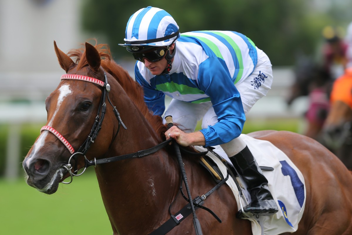 Voyage Warrior wins easily under jockey Zac Purton at Sha Tin on Sunday. Photos: Kenneth Chan