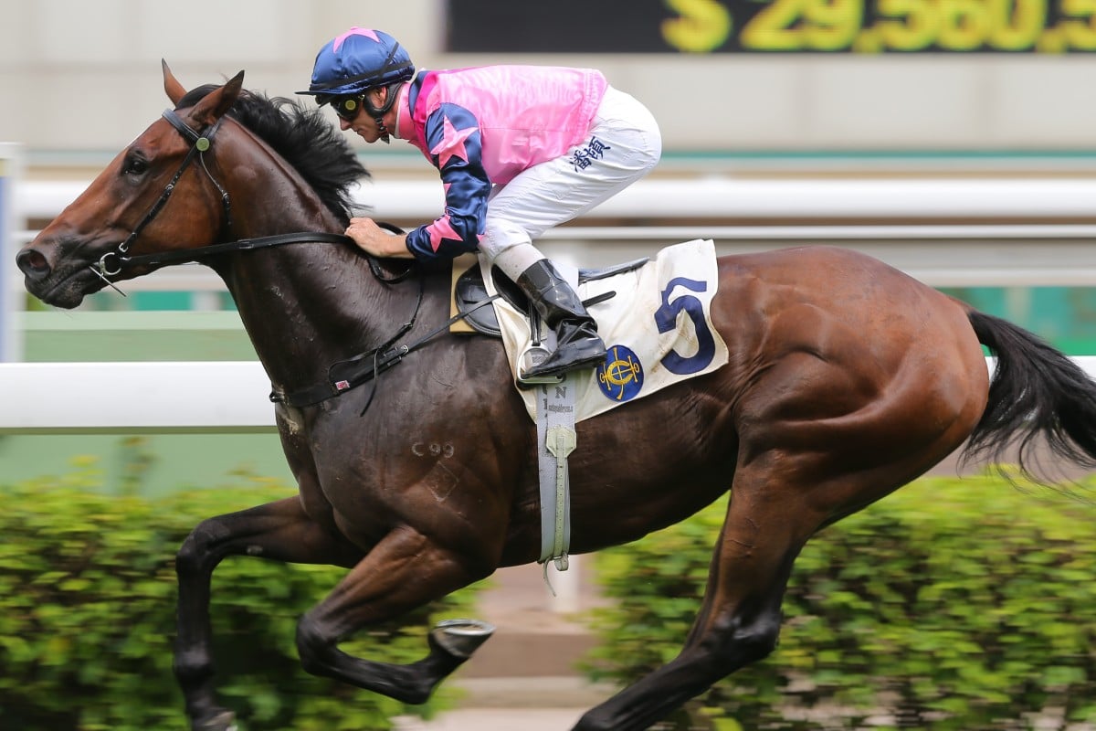 Chicken Dance in full flight as he goes on to win easily at Sha Tin. Photos: Kenneth Chan