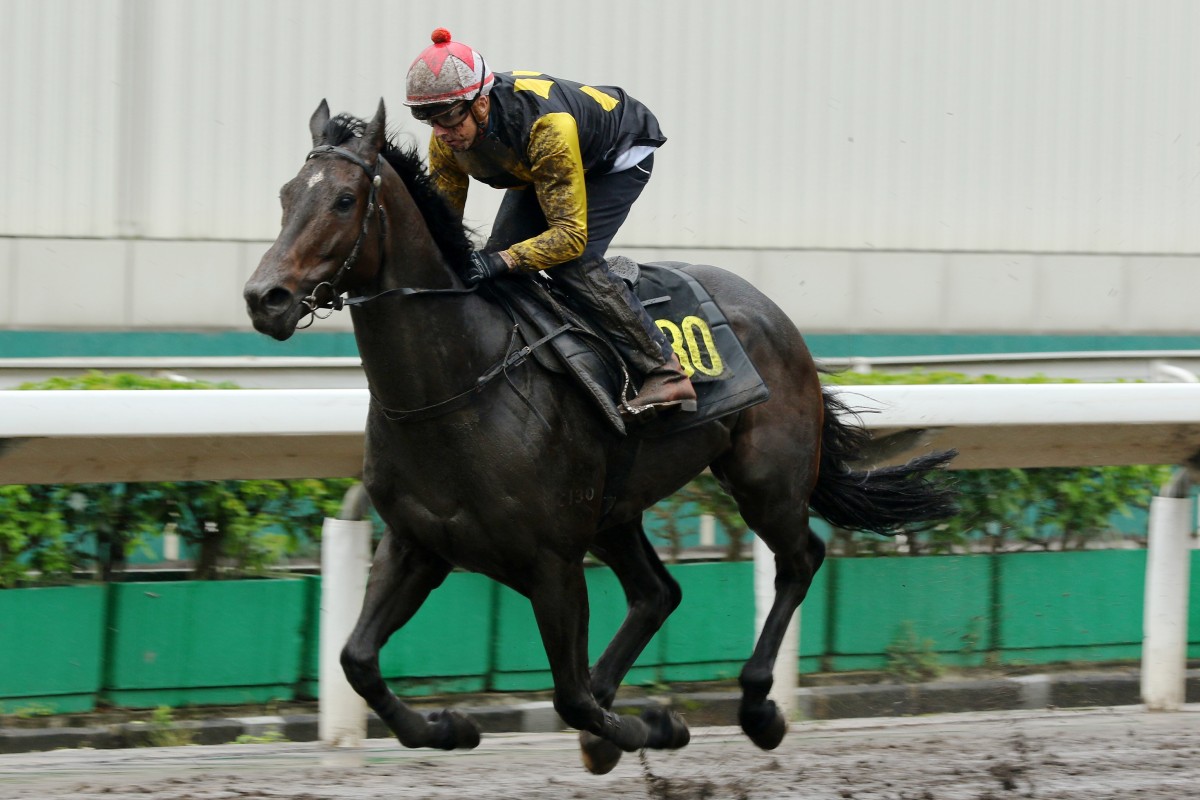 King’s Trooper doing his best work during a barrier trial at Sha Tin this season. Photos: Kenneth Chan