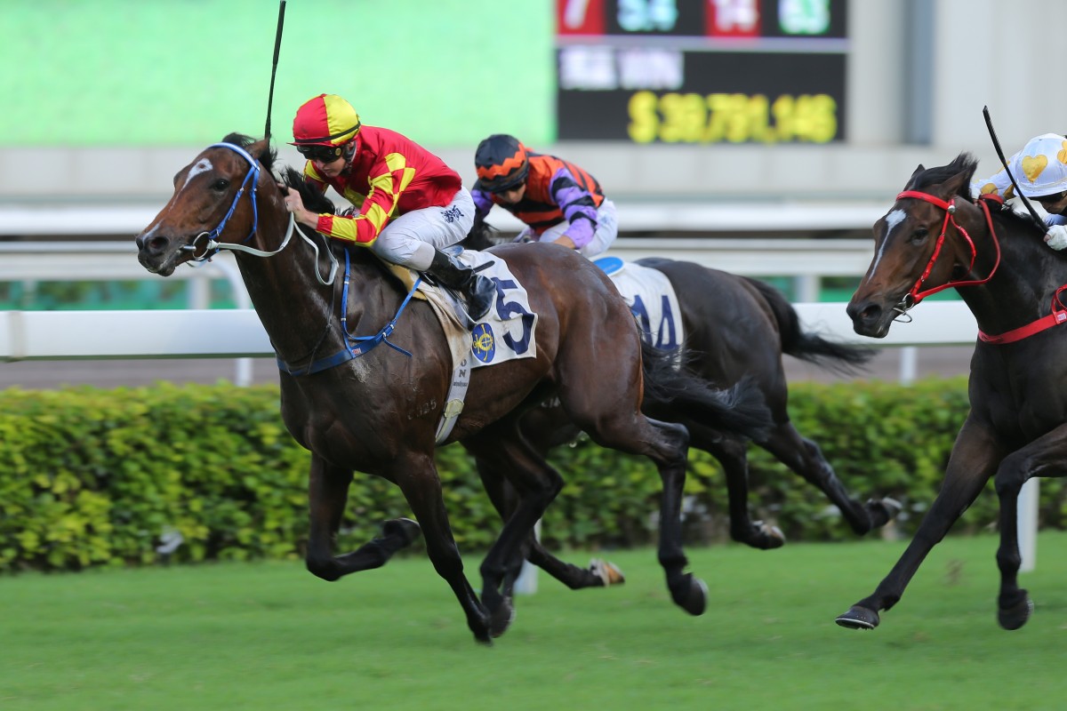 Long shot Winning Delight thunders to victory under Zac Purton. Photos: Kenneth Chan