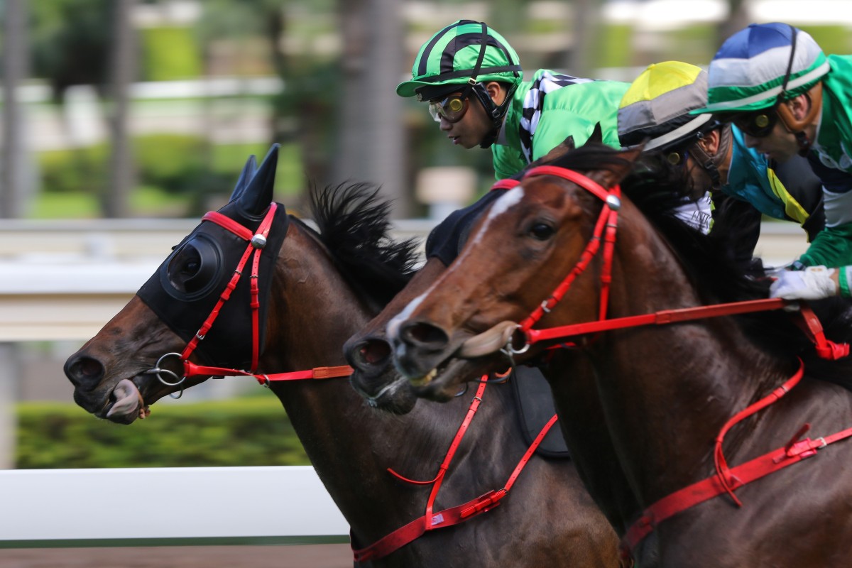 Dylan Mo drives Green Energy to victory at Sha Tin on Monday. Photos: Kenneth Chan