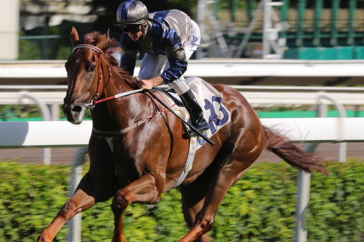 Aethero races up the Sha Tin straight to win easily in his first outing in open class. Photos: Kenneth Chan