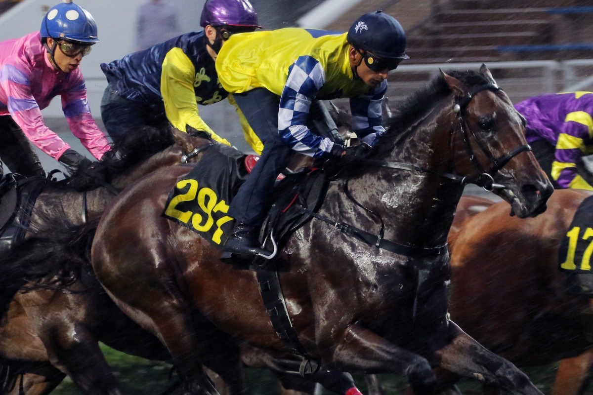 Chefano (yellow silks) trials at Sha Tin earlier in his career. Photos: Kenneth Chan