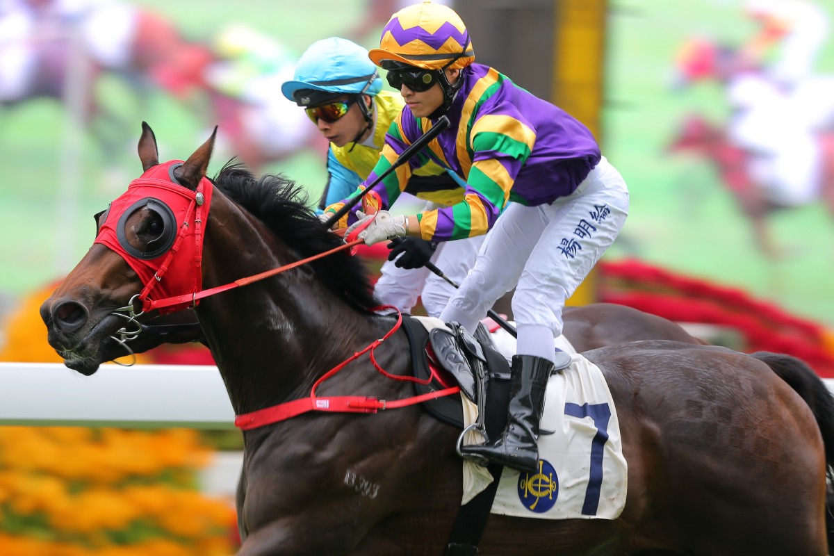 Keith Yeung wins on Perfect Match in November last year. Photos: Kenneth Chan