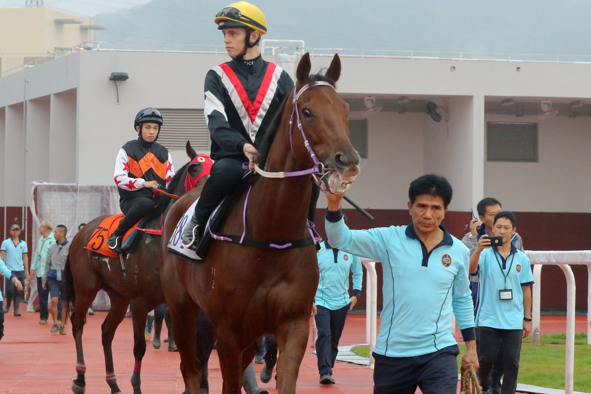 Mafoos lead horses on to the track for a set of barrier trials at the Conghua training facility. Photo: Kenneth Chan