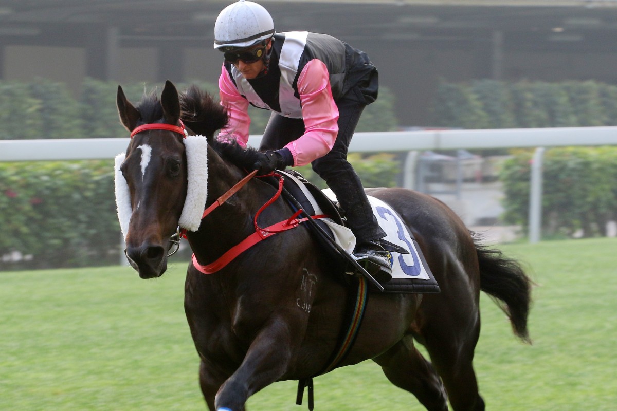 Zac Purton trials Beauty Spark at Happy Valley this season. Photos: Kenneth Chan