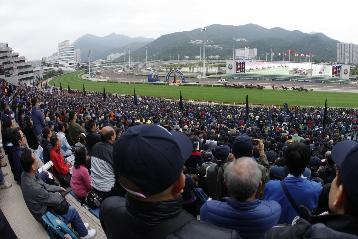 Punters watch racing at Sha Tin. Photo: Kenneth Chan